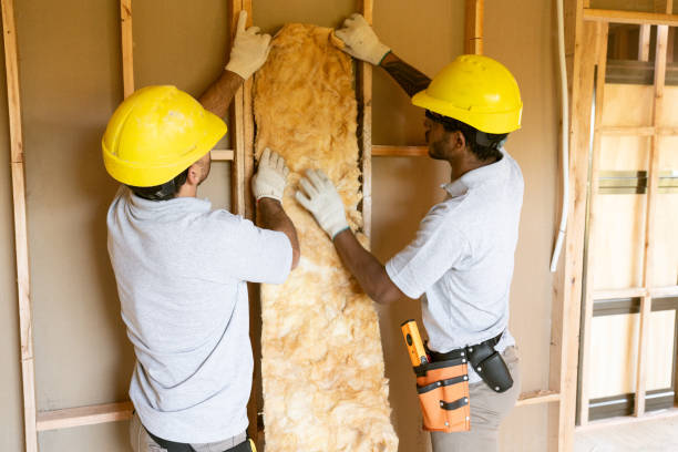 Best Crawl Space Insulation  in Roland, IA